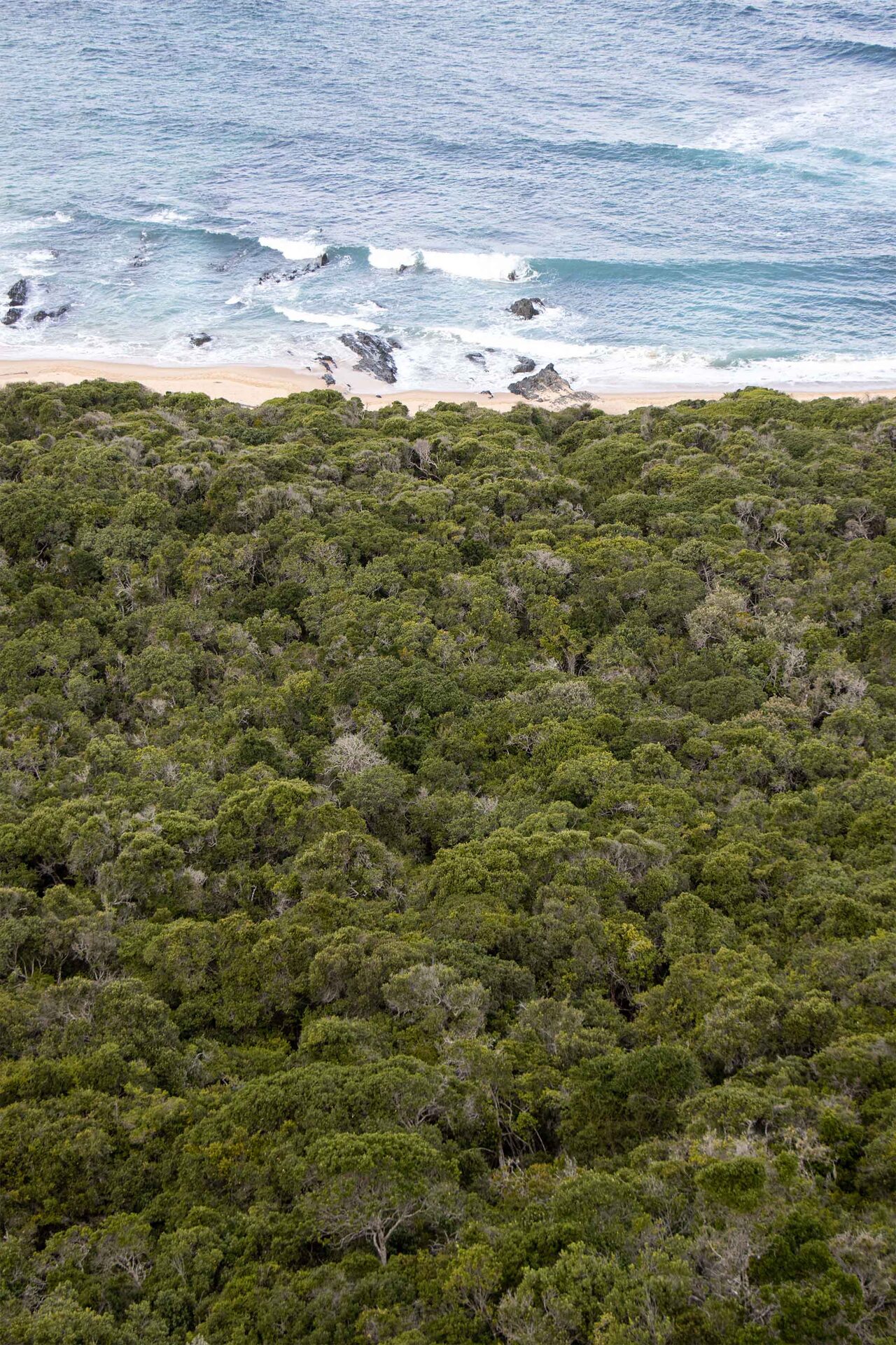 Nature’s Valley — Cape Town fine art print by Tamarac