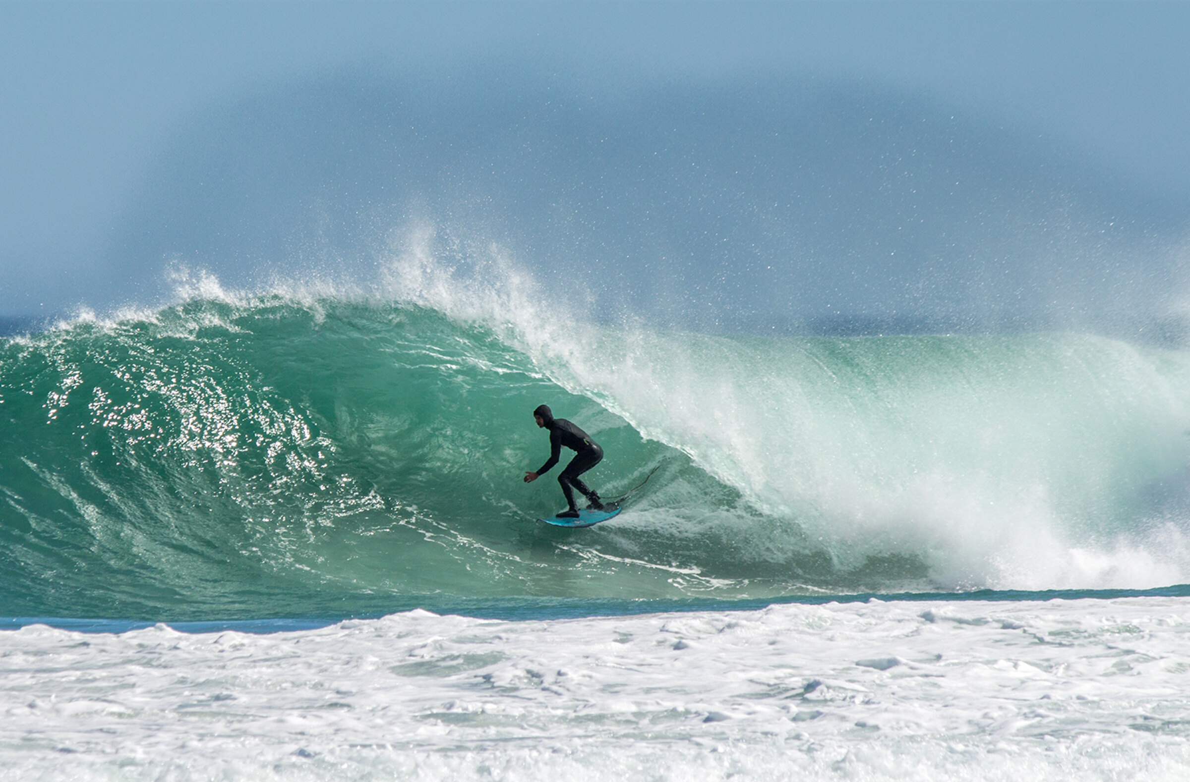 Surf & Ocean